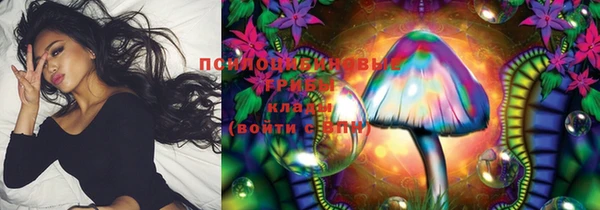таблы Новодвинск