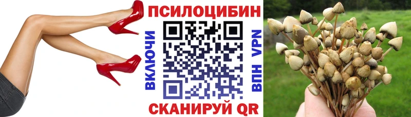 Галлюциногенные грибы Magic Shrooms  Междуреченск 
