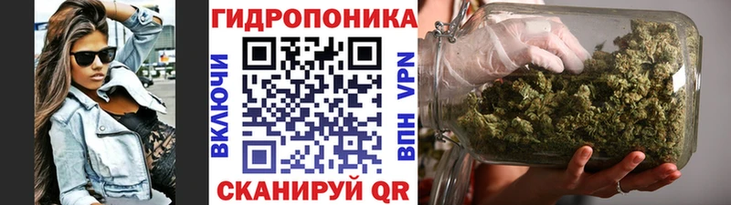 Каннабис конопля  Междуреченск 